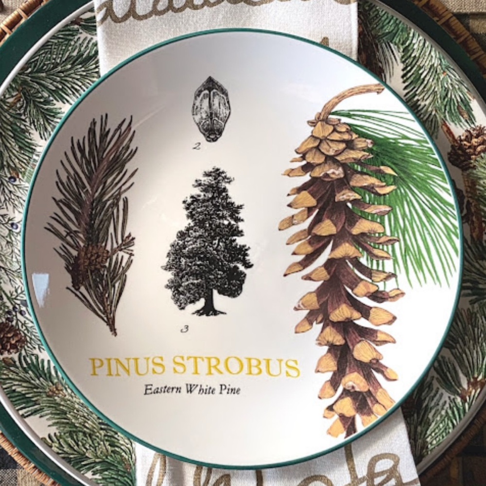 Creative Co-Op Pinus Strobus Eastern White Pine Plate - Green and White